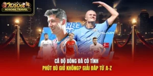 Cá Độ Bóng Đá Có Tính Phút Bù Giờ Không - Giải Đáp Từ A-Z