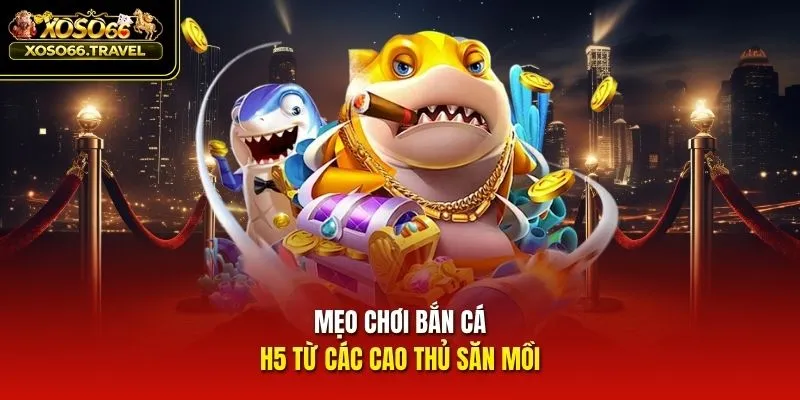 Mẹo chơi bắn cá H5 từ các cao thủ săn mồi