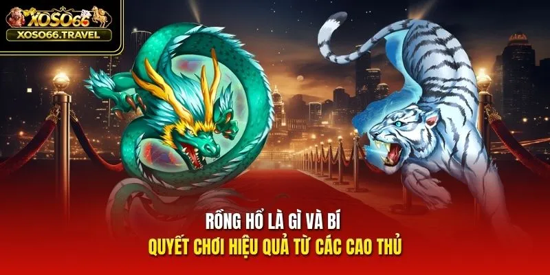 Rồng hổ là gì và bí quyết chơi hiệu quả từ các cao thủ