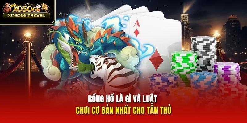 Rồng hổ là gì và luật chơi cơ bản nhất cho tân thủ