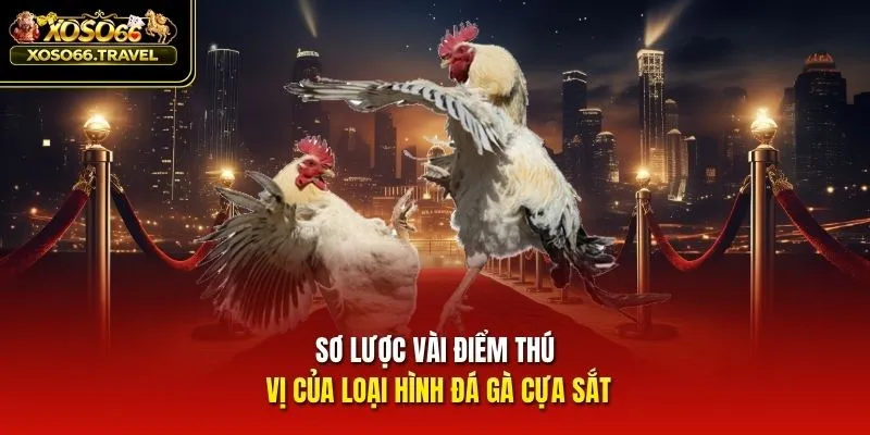 Sơ lược vài điểm thú vị của loại hình đá gà cựa sắt
