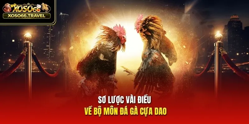 Sơ lược vài điều về bộ môn đá gà cựa dao